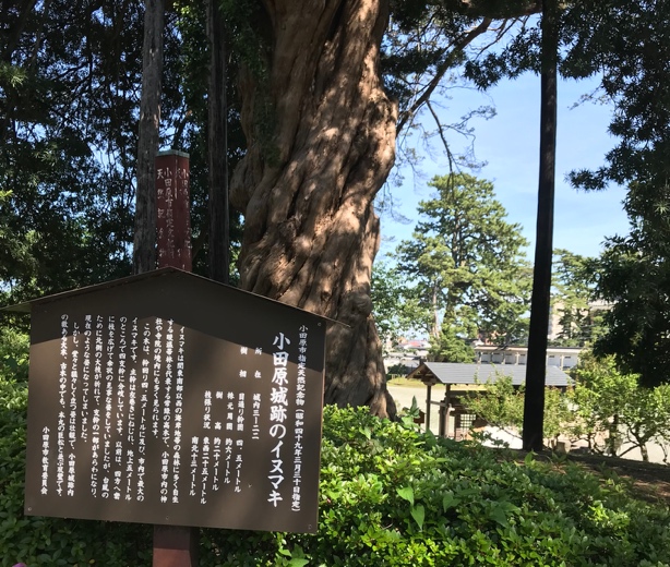 公園にあるベンチ

AI 生成コンテンツは誤りを含む可能性があります。